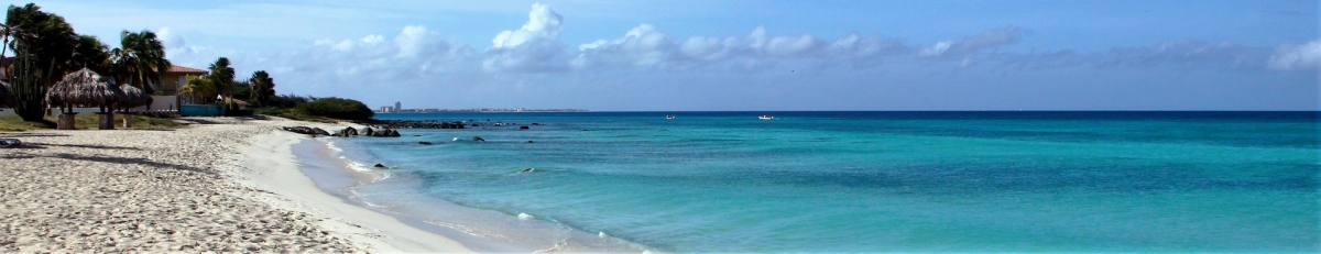 Aruba Beach Panorama (Public Domain / Pixabay)  Public Domain 
Informations sur les licences disponibles sous 'Preuve des sources d'images'
